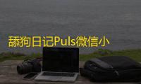 舔狗日记Puls微信小程序源码带流量主功能